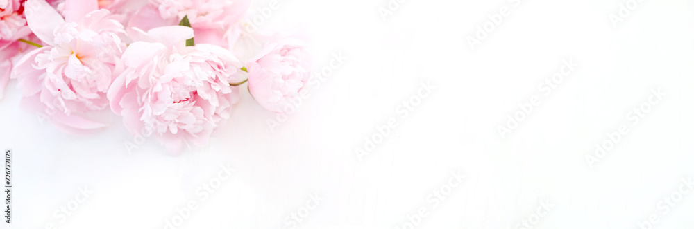 Blossoming peonies in varying shades of pink, thoughtfully arranged on a white table, romance and celebration. Top view.