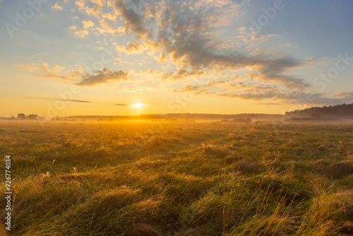 Landscape with sunrise over a field with herbs and fog