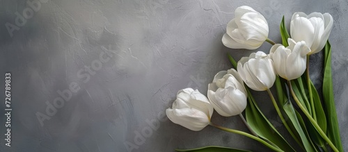 White tulip gentian flowers on a gray backdrop with space for text, a gift for a tender bride girl, and witnesses' love declaration. photo