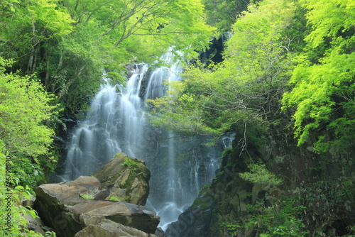 飛龍の滝