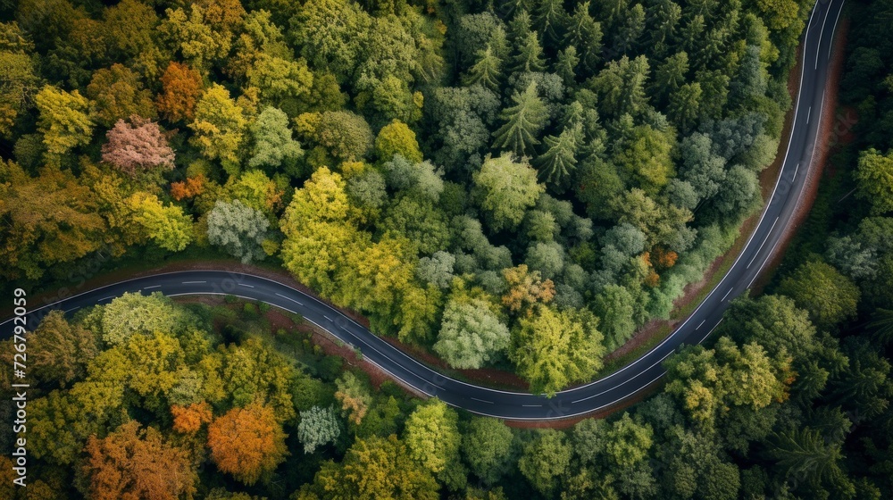 carriage road surrounded by lush green forests