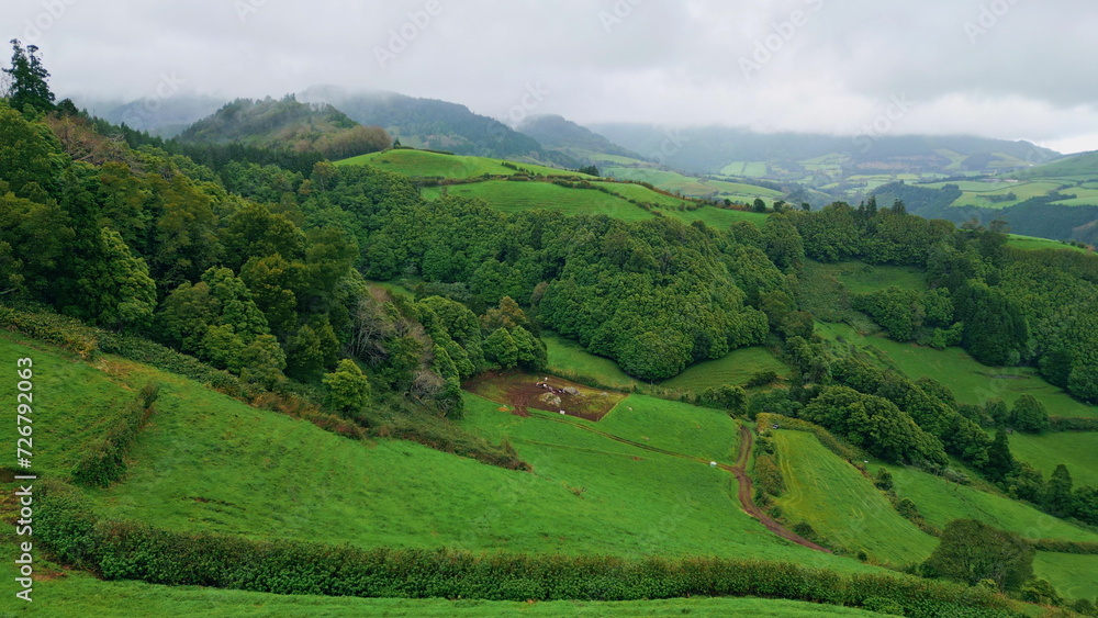 Fototapeta premium Low clouds covering woodland slopes drone. Mountains valley nature landscape