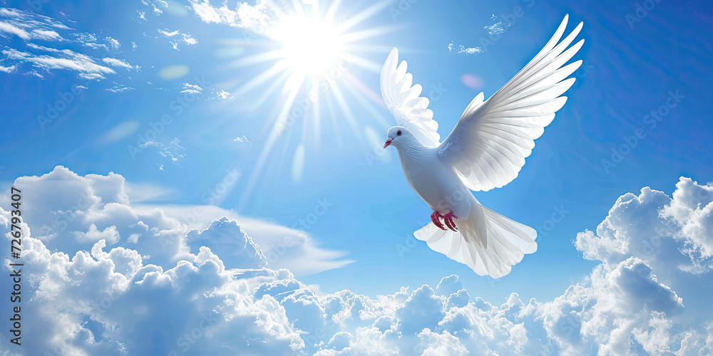 Dove in the Sky Funeral background Dove in the Sky Funeral background