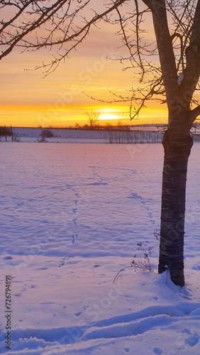 sun