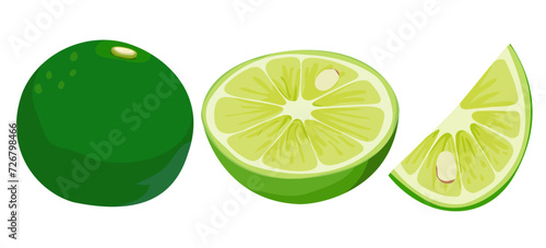 Sudachi Citrus Japanese Citrus Vector Illustration Set on White Background Isolated