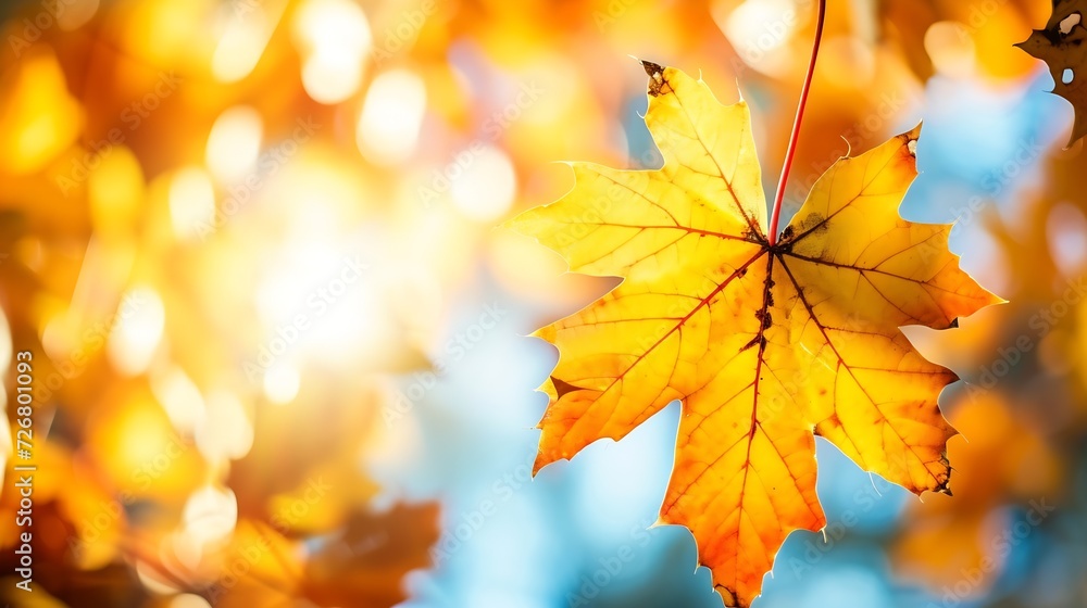 Autumn yellow leaf closeup. Bright orange tree change. Blur bokeh on background. Golden color in park Light sunny warm october day. Red leaves in garden Sun in blue sky. Fall nature wo : Generative AI Autumn yellow leaf closeup. Bright orange tree change. Blur bokeh on background. Golden color in park Light sunny warm october day. Red leaves in garden Sun in blue sky. Fall nature wo : Generative AI