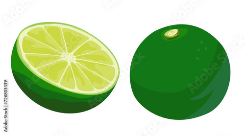 Sudachi Citrus Japanese Citrus Vector Illustration Set on White Background Isolated photo