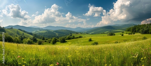 Picturesque carpathian countryside with blooming herbs, a green field, and fluffy clouds on a sunny day.