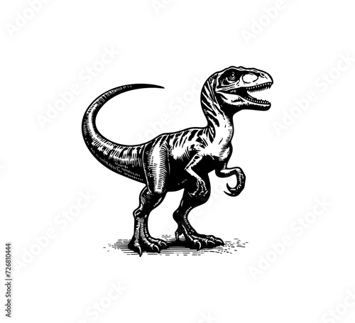 Velociraptor hand drawn vector dinosaur graphic