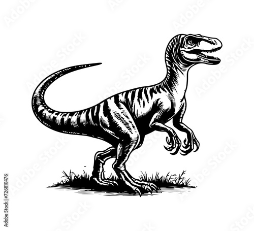 Velociraptor hand drawn vector dinosaur graphic
