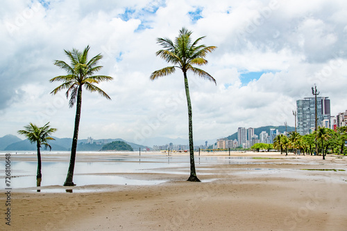 Tropical Empty Sandy Beach With Palm Trees on Cloudy Day in Santos Brazil