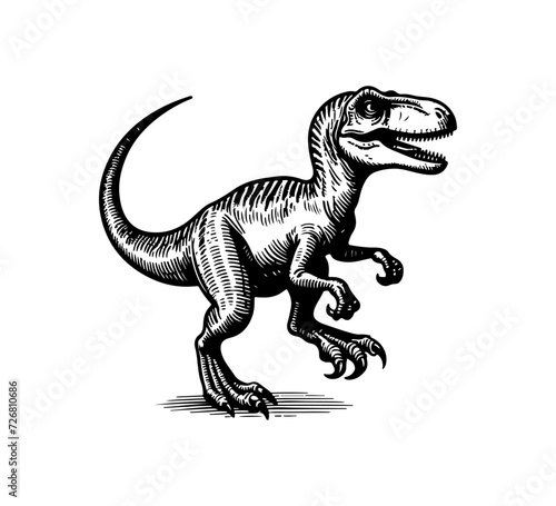 Velociraptor hand drawn vector dinosaur graphic © AriaMuhammads