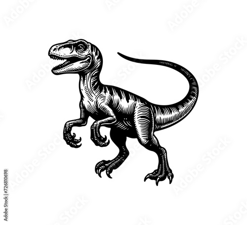 Velociraptor hand drawn vector dinosaur graphic © AriaMuhammads