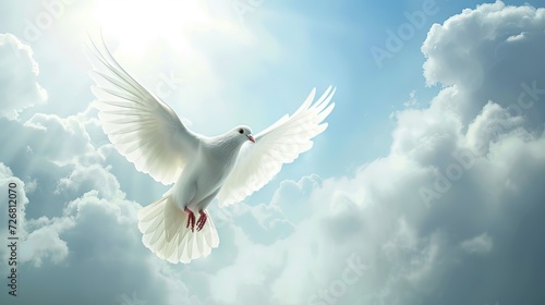 White dove flying in the sky to represent a heavenly aspirational goal