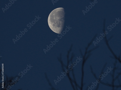 waning gibbous moon early at dawn photo