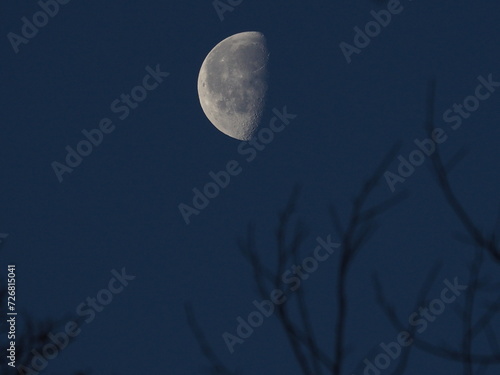 Fotografie waning gibbous moon early at dawn