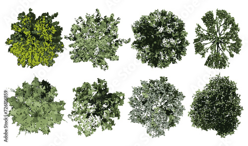 Canvas Print Realistic shrubs collection on white background.Set of shrubs