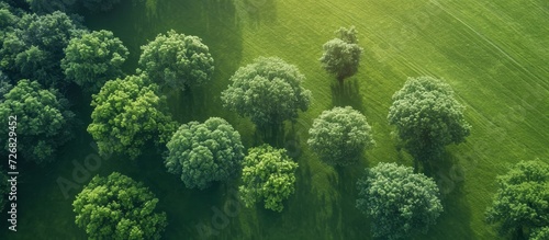 Drone captures CO2-capturing trees in a sustainable, green environment.