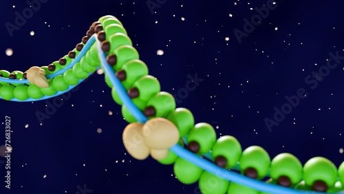 3d rendering of thin filaments, a part of striated muscle that are made up of three proteins: actin, troponin, and . Actin is the main protein component of the thin filament. photo