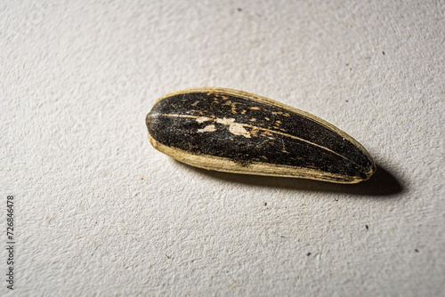 Macro close-up on one single sunflower seed detail isolated on white background texture