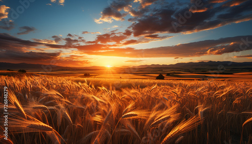 Sunset over rural farm, golden wheat harvest generated by AI