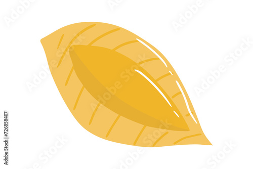 dry pasta italian food. Penne, fusilli, farfalle, tagliatelle, fettuccine, spaghetti, cavatappi, conchiglie shells and wheat