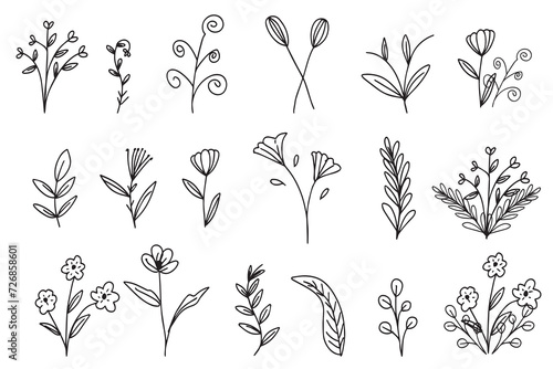 set of handrawn botanical leaf. Hand drawn line wedding herb, elegant wildflowers. Minimal line art drawing for print,  photo