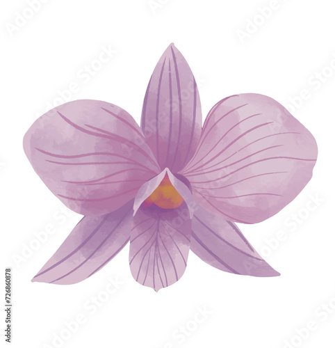 purple orchid isolated on white. watercolor flower of orchid hand drawn