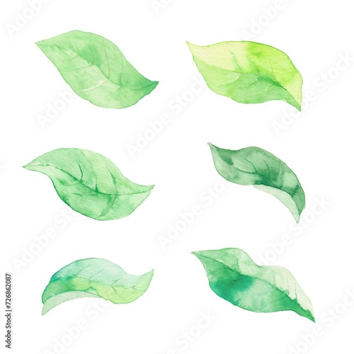 風に舞う緑の葉っぱ、素材 photo
