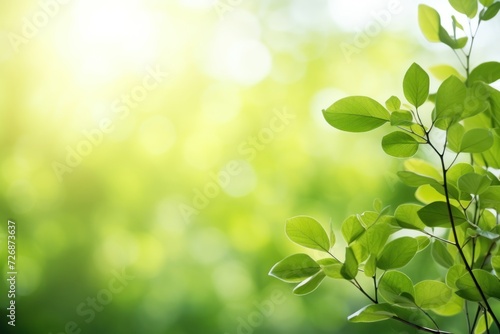 Beautiful green leaves on blurred background, space for text.  © CStock
