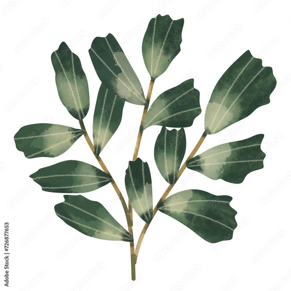 Fototapeta premium Watercolor Green Leaf Tree Branch With Small Flowers