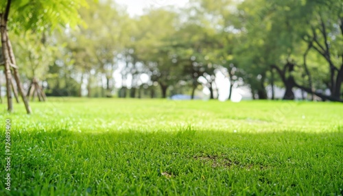 Fototapeta Naklejka Na Ścianę i Meble -  Close-up green grass field with tree blur park background, Spring and summer