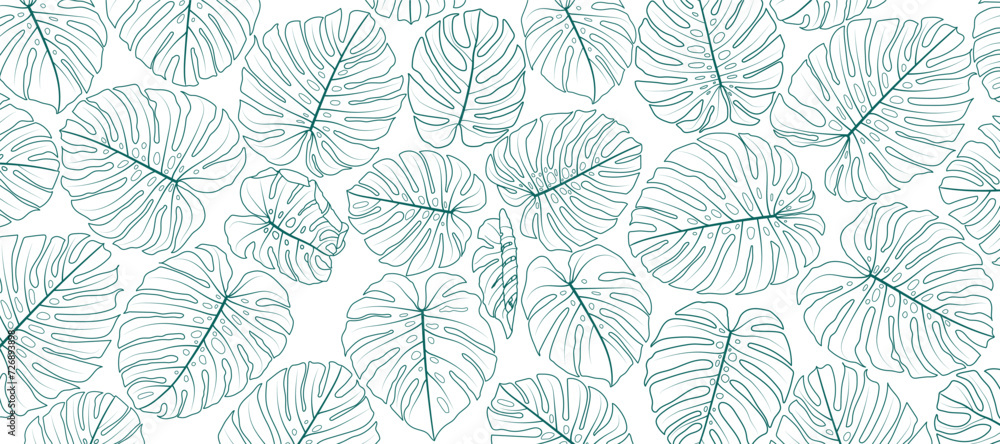 leaves of monstera plant. Ornamental plants in line art on a white background. Tropical plants that are popularly used as decorations for their beauty.
