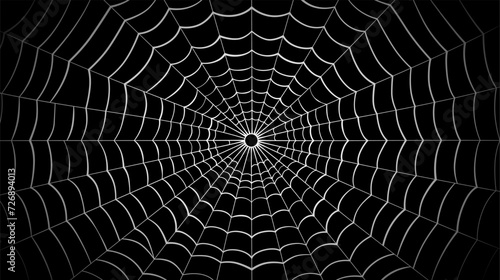 Spider web on a black background. Vector illustration of a spider web