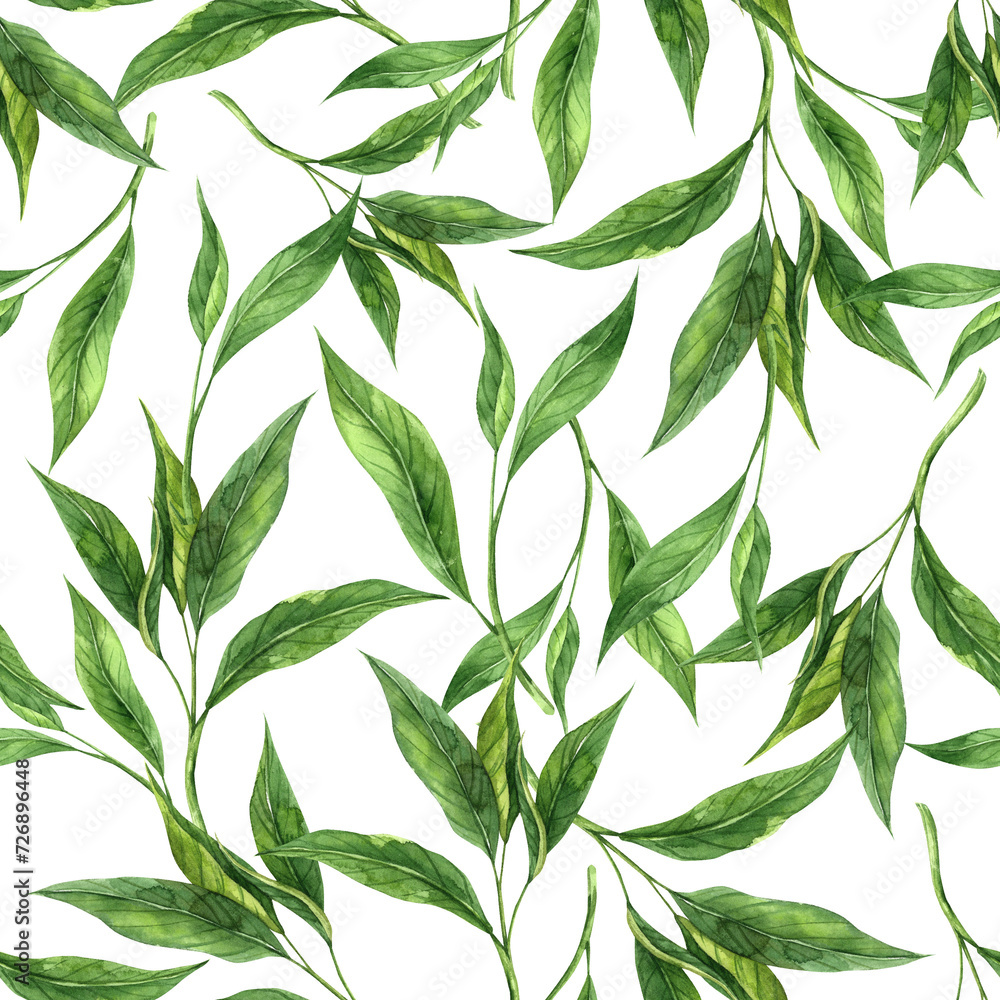 Watercolor pattern of fresh tea leaves on a transparent background. Hand drawn illustration on isolated background, suitable for menu design, packaging, poster, website, textile, invitation, ceramics. Watercolor pattern of fresh tea leaves on a transparent background. Hand drawn illustration on isolated background, suitable for menu design, packaging, poster, website, textile, invitation, ceramics.