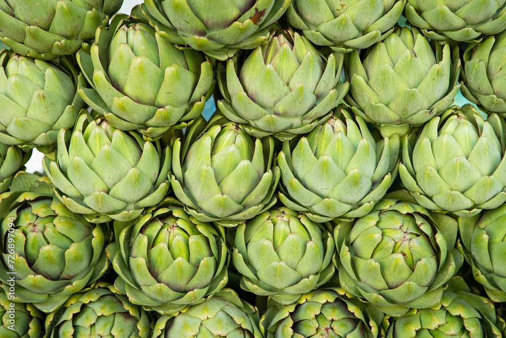 Fototapeta premium artichoke, camus de Bretagne