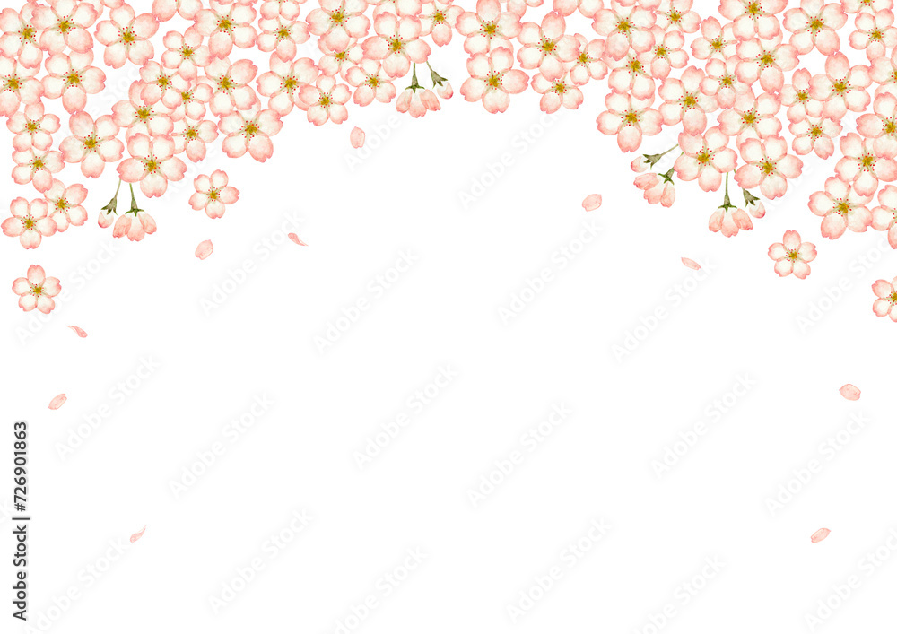 山桜 桜　背景 フレーム　水彩 イラスト