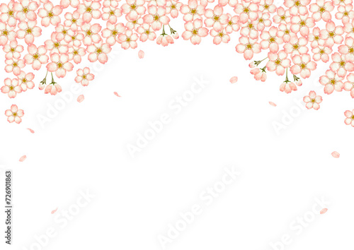 山桜 桜　背景 フレーム　水彩 イラスト © tada