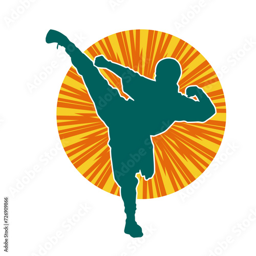 Silhouette of a male doing martial art kick pose. Silhouette of a martial art male doing kicking pose.