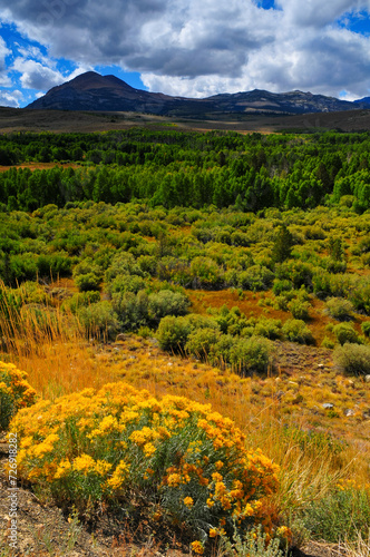 Late summer at Dunderberg Peak and Meadow, on the way to the Virginia Lakes, Eastern Sierra Nevada mountains, California, USA. photo