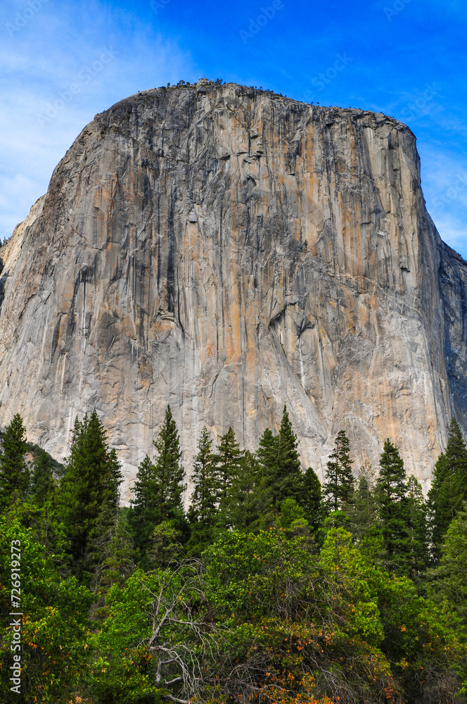 The famous sheer rock face of El Capitan and the woods beneath, Yosemite National Park, California, USA.