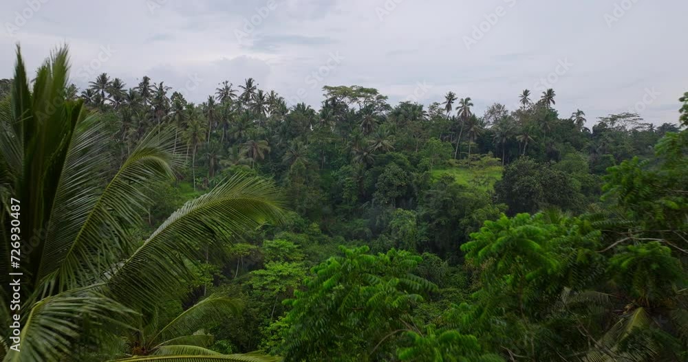 Drone flying over trees of Ubud rainforest, Bali in Indonesia. Aerial forward Drone flying over trees of Ubud rainforest, Bali in Indonesia. Aerial forward