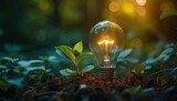 Green plant growing around glowing light bulb of eco friendly innovation and sustainable energy representing ideas of environmental protection conservation and creativity in technology