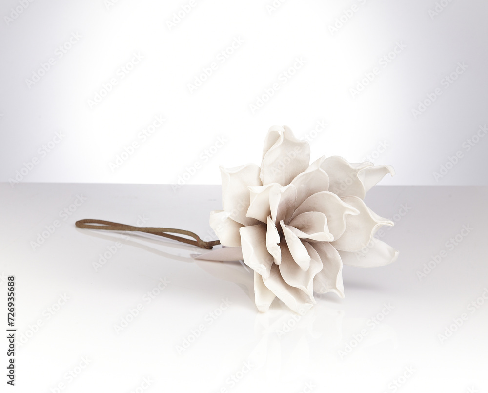 beautiful spring flowers placed on the white bottom. Gorgeous flowers. Isolated in white.