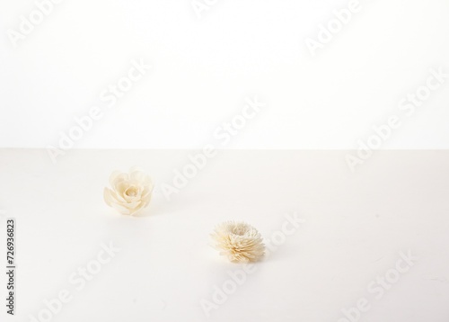 beautiful spring flowers placed on the white bottom. Gorgeous flowers. Isolated in white.