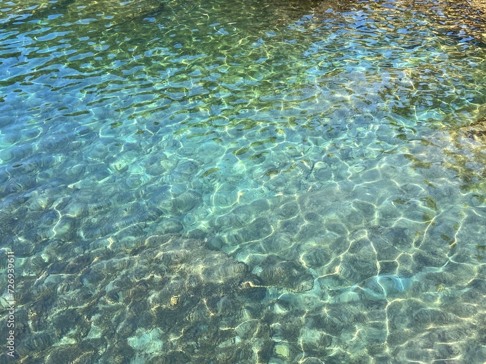 Sea water clear transparent seaweed algae underwater. Sea water clear transparent seaweed algae underwater.