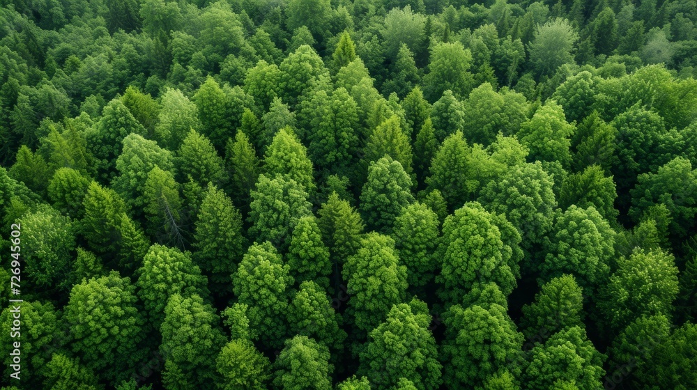Aerial view of green coniferous forest. Nature background. - Generative AI Aerial view of green coniferous forest. Nature background. - Generative AI