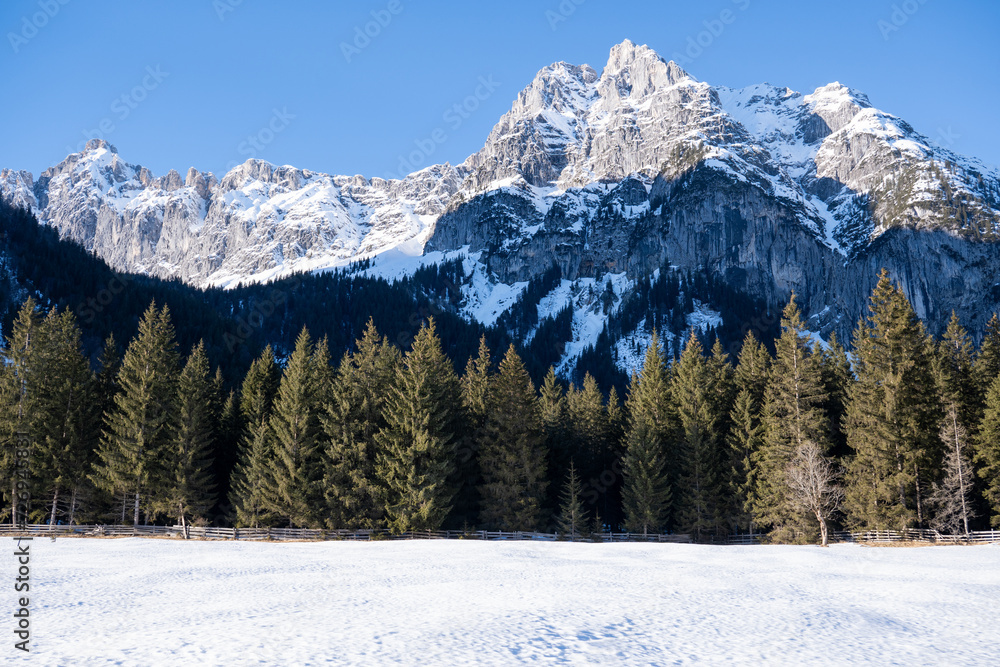 Snowfield and forest in front of Leutascher Drei-Torspitzen 2682m, Wetterstein Mountains, Austria