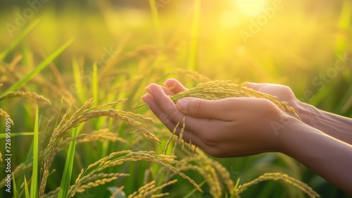 Hands holding paddy rice grains. generative ai