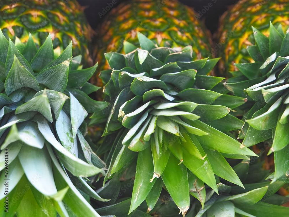 Obraz premium Group of whole ripe pineapples on a wooden shelf